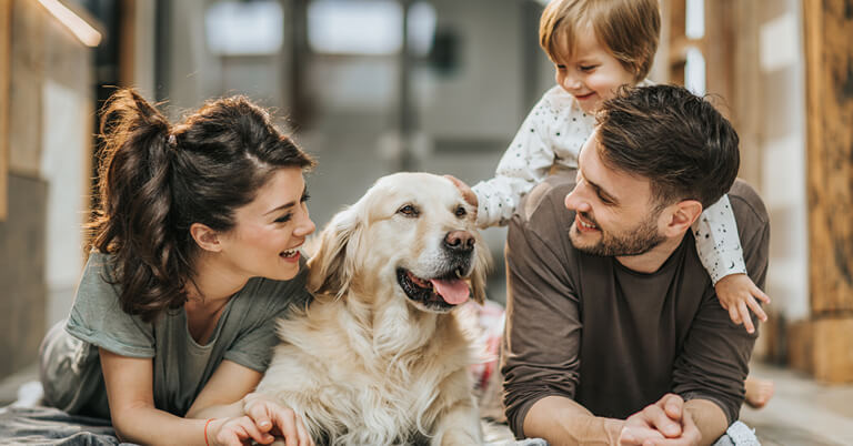 pet-friendly-cleaning